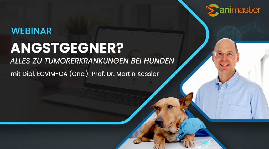 Tumorerkrankungen bei Hunden - Dr. Martin Kessler