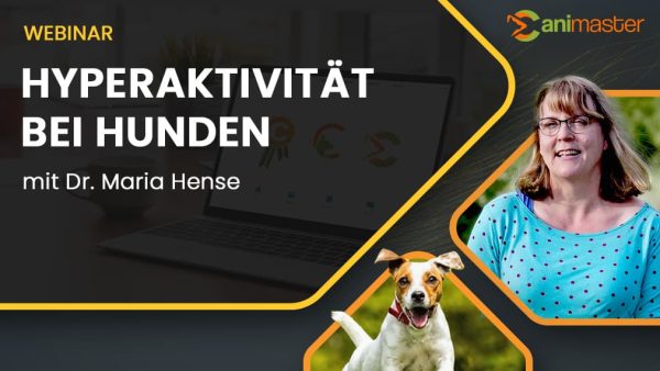 Hyperaktivität-bei-Hunden