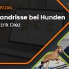2025_Diez_Kreuzbandrisse_Canimaster