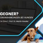 2024_Kessler_tumor_canimaster 2024_Kessler_tumor_canimaster