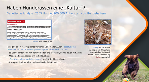 2025_Spork_Epigenetik_Canimaster_Vorschau -1 2025 Spork Epigenetik Canimaster Vorschau 1