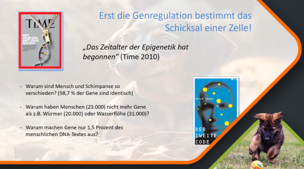 2025_Spork_Epigenetik_Canimaster__Vorschau 2025 Spork Epigenetik Canimaster Vorschau