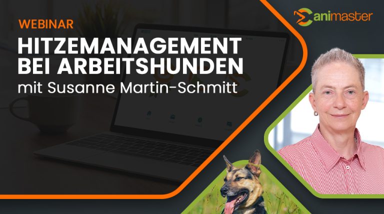 Hitzemanagement Schmitt Canimaster Hitzemanagement Schmitt Canimaster