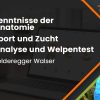Paket_Hundeanatomie_Holderegger_Canimaster.jpg