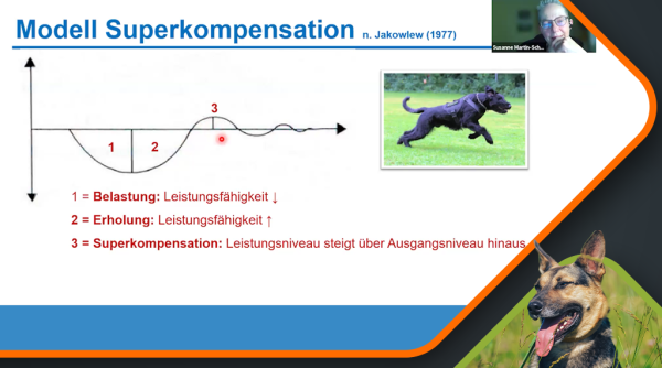 Canimaster Vorschau 1024x570 (9) Canimaster Vorschau 1024x570 9