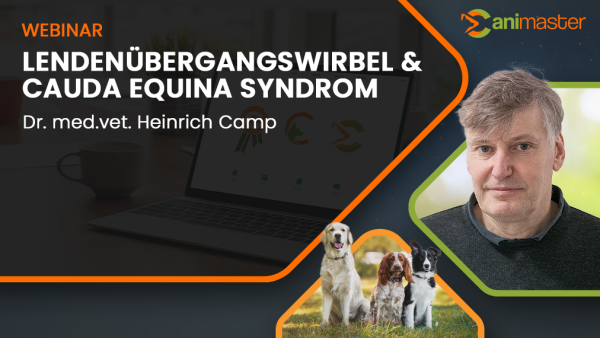 Canimaster_Camp_CaudaEquina_LUeW_1024x517.png