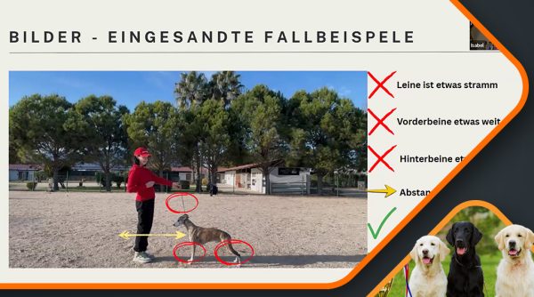 Canimaster Vorschau Isabel Weber Showhandling 1024x570 6