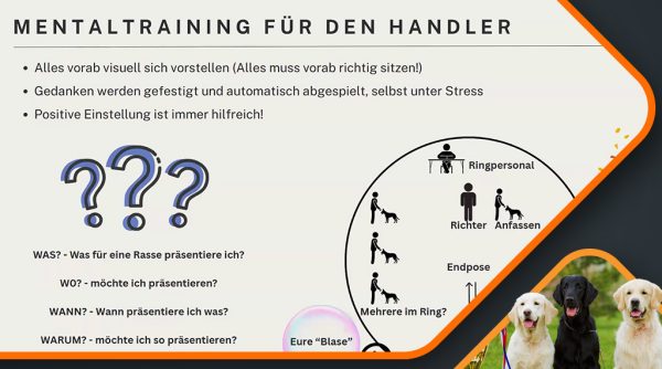 Canimaster Vorschau Isabel Weber Showhandling 1024x570 2