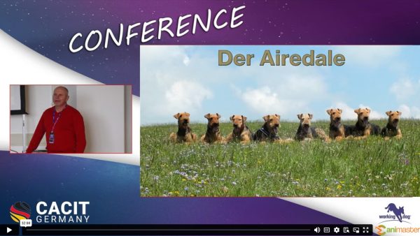 Rasseportrait Airedale-KfT