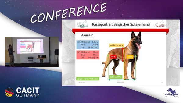 Rasseportrait Belgischer Schaeferhund RSV2000