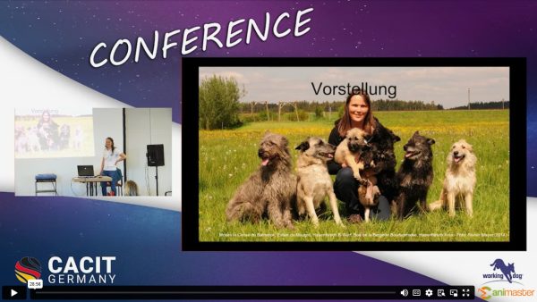 Rasseportrait Bouvier-DBC