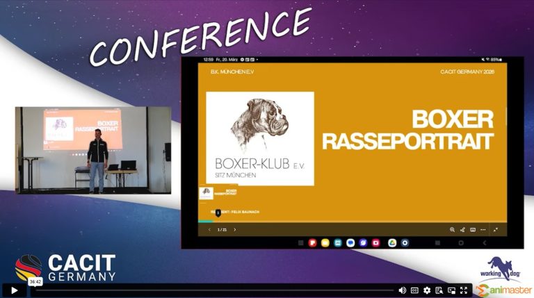 Rasseportrait Deutscher Boxer-BK