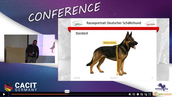 Rasseportrait Deutscher Schäferhund - RSV2000