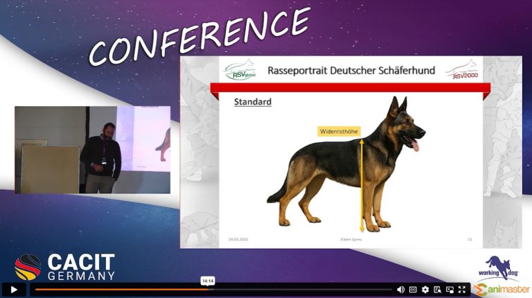 Rasseportrait Deutscher Schäferhund - RSV2000