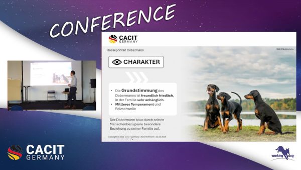 Rasseportrait Dobermann-DV