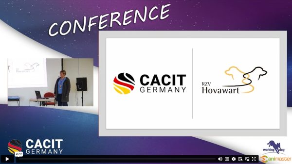 Rasseportrait Hovawart-RZV