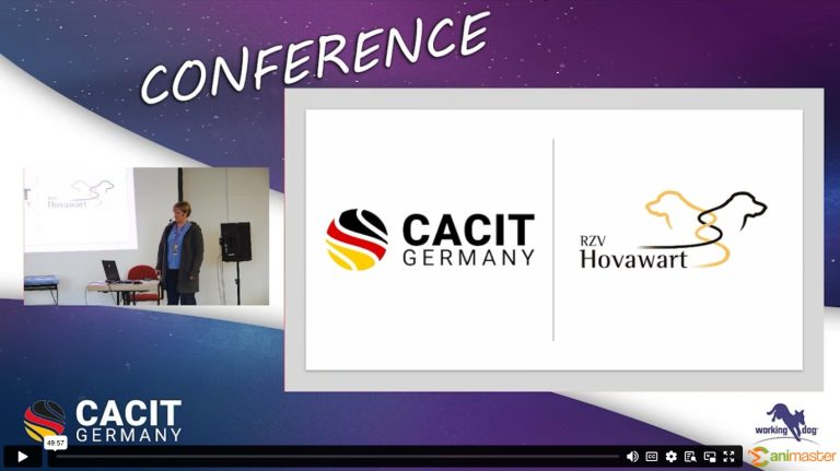 Rasseportrait Hovawart-RZV