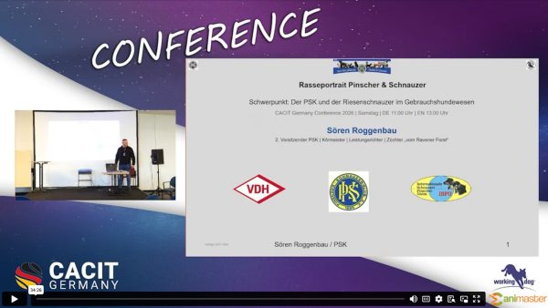 Rasseportrait Riesenschnauzer-PSK